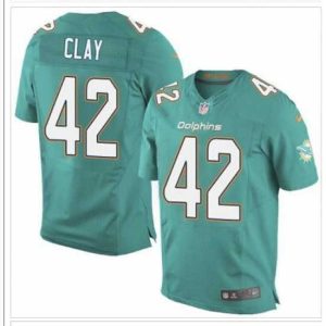 Exquisite NEW Miami Dolphins #42 Charles Clay Aqua Green Team Color NFL New Elite Jersey